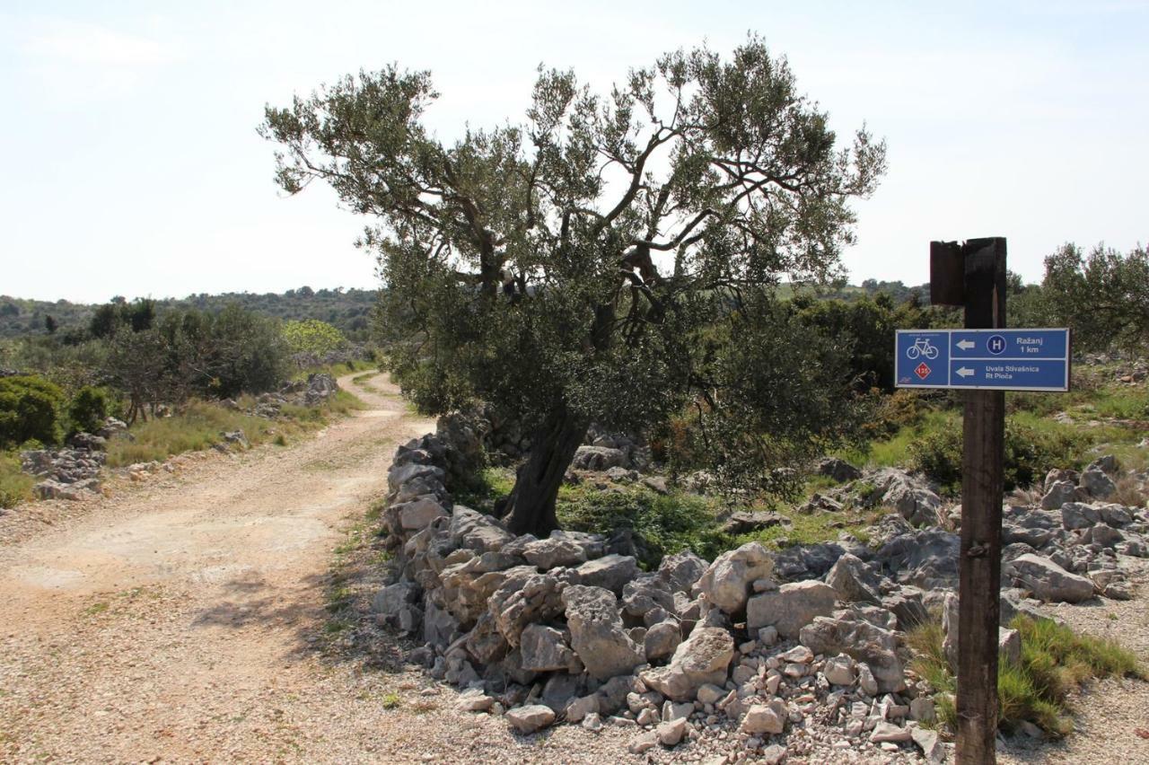 Ražanj Apartments Jelena מראה חיצוני תמונה